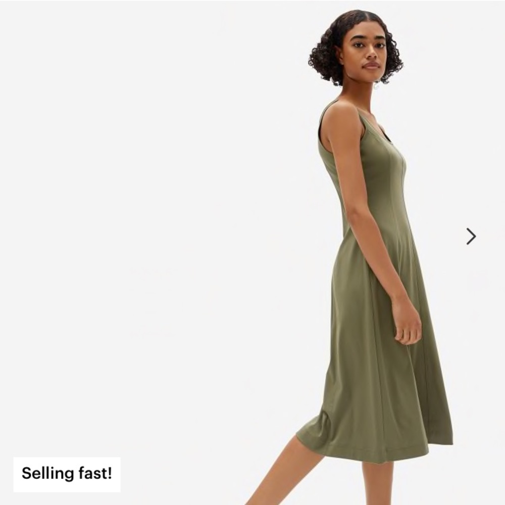 Everlane Luxe Cotton Seamed Tank Dress